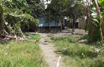 Plots for Sale in Hemayetpur, Savar, Dhaka
