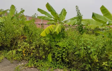 Plots for Sale in Sector 16, Purbachal, Dhaka