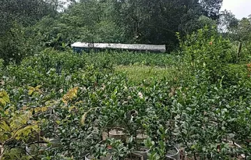 Plots for Sale in Ashulia, Savar, Dhaka