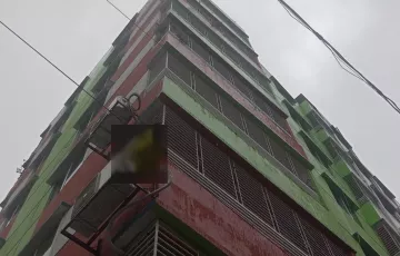 Flats for Sale in Madartek, Bashabo, Dhaka