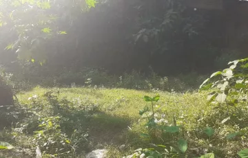 Plots for Sale in West Khulshi, 9 No. North Pahartali Ward, Chattogram