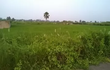 Plots for Sale in Sector 22, Purbachal, Dhaka