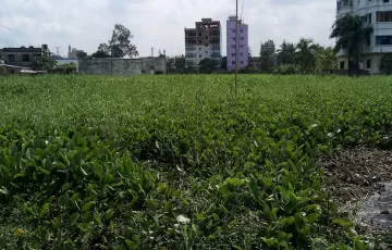 Plots for Sale in Sarulia, Demra, Dhaka