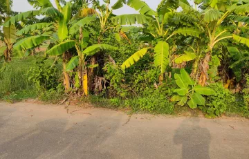 Plots for Sale in Sector 23, Purbachal, Dhaka
