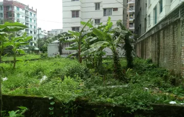 Plots for Sale in Block D, Bashundhara R-A, Dhaka