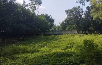 Plots for Sale in Ashulia, Savar, Dhaka