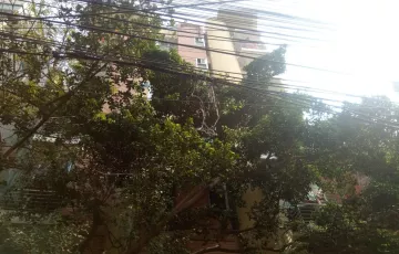 Flats for Rent in Baitul Aman Housing Society, Adabor, Dhaka
