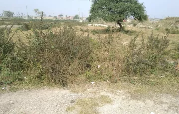 Plots for Sale in Purbachal, Dhaka