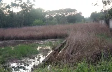 Plots for Sale in Mainertek, Uttar Khan, Dhaka