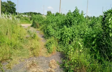 Plots for Sale in Sector 22, Purbachal, Dhaka