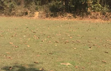 Plots for Sale in Kaliakair, Gazipur