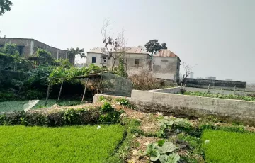 Plots for Sale in Tongi, Gazipur Sadar Upazila, Gazipur