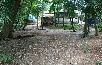 Plots for Sale in Ashulia, Savar, Dhaka