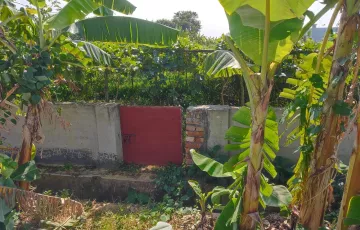 Plots for Sale in Sector 15, Purbachal, Dhaka