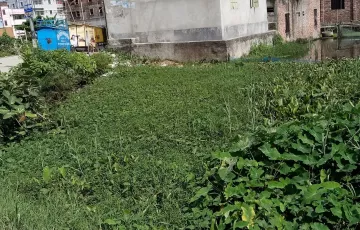Plots for Sale in Sarulia, Demra, Dhaka