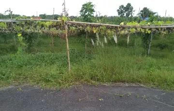 Plots for Sale in Sector 22, Purbachal, Dhaka
