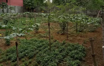 Plots for Rent in Ashulia, Savar, Dhaka