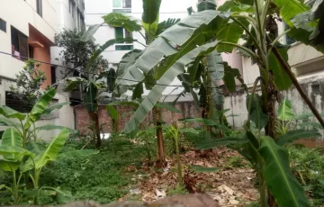 Plots for Sale in Sector 14, Uttara, Dhaka