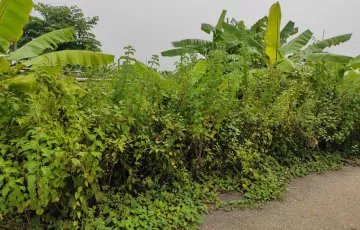 Plots for Sale in Sector 15, Purbachal, Dhaka
