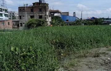 Plots for Sale in Sarulia, Demra, Dhaka