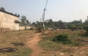 Plots for Sale in Sreepur to Barmi Road, Sreepur, Gazipur