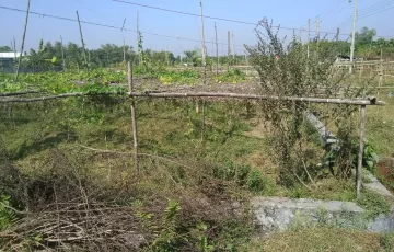 Plots for Sale in Sector 13, Purbachal, Dhaka