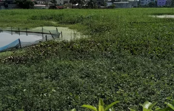 Plots for Sale in Sarulia, Demra, Dhaka