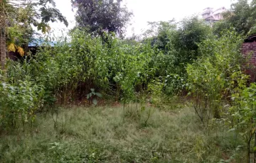 Plots for Sale in Foys Lake, 9 No. North Pahartali Ward, Chattogram
