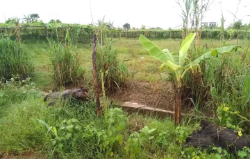 Plots for Sale in Sector 16, Purbachal, Dhaka