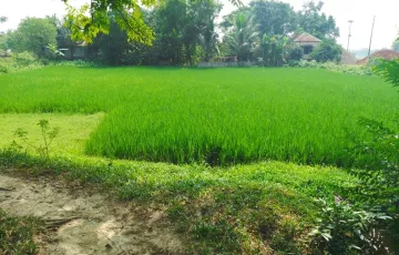 Plots for Sale in Gacha, Gazipur Sadar Upazila, Gazipur