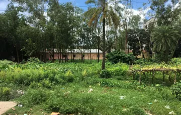 Plots for Sale in Mouchak, Gazipur Sadar Upazila, Gazipur