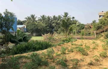 Plots for Rent in 41 No. South Patenga Ward, Patenga, Chattogram