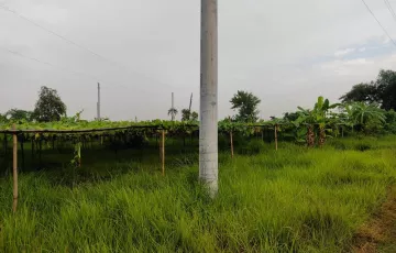 Plots for Sale in Sector 25, Purbachal, Dhaka