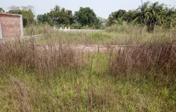 Plots for Sale in South Keraniganj, Keraniganj, Dhaka