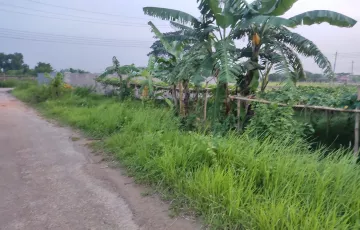 Plots for Sale in Sector 26, Purbachal, Dhaka
