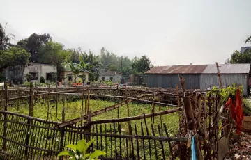 Plots for Sale in Ashulia, Savar, Dhaka
