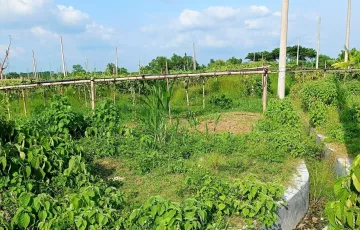 Plots for Sale in Sector 23, Purbachal, Dhaka