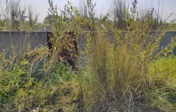 Plots for Sale in Sector 5, Purbachal, Dhaka