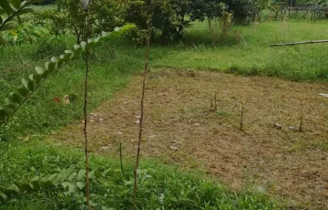 Plots for Sale in Shafipur, Gazipur Sadar Upazila, Gazipur