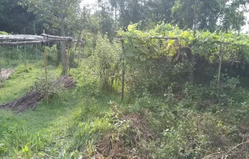 Plots for Sale in Sector 23, Purbachal, Dhaka