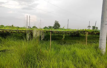 Plots for Sale in Sector 20, Purbachal, Dhaka