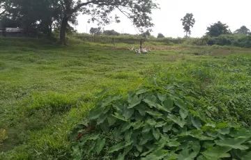Plots for Sale in Purbachal, Dhaka