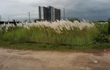 Plots for Sale in Anonna Residential Area, 4 No Chandgaon Ward, Chattogram