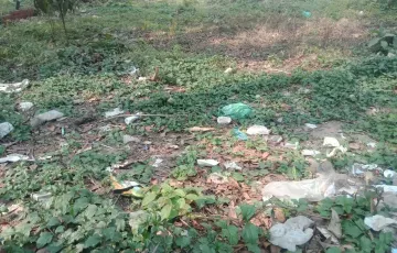 Plots for Sale in Block I, Bashundhara R-A, Dhaka