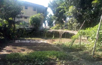Plots for Sale in 40 No. North Patenga Ward, Patenga, Chattogram