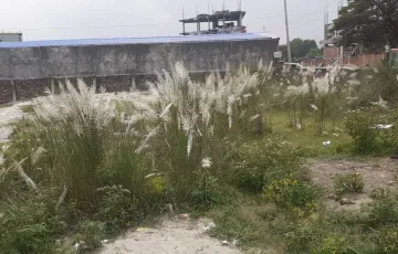 Plots for Rent in Uttar Badda, Badda, Dhaka