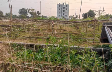 Plots for Sale in Sector 9, Purbachal, Dhaka