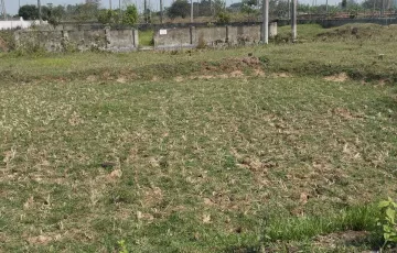 Plots for Sale in Sector 9, Purbachal, Dhaka