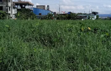 Plots for Sale in Sarulia, Demra, Dhaka