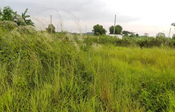 Plots for Sale in Sector 22, Purbachal, Dhaka